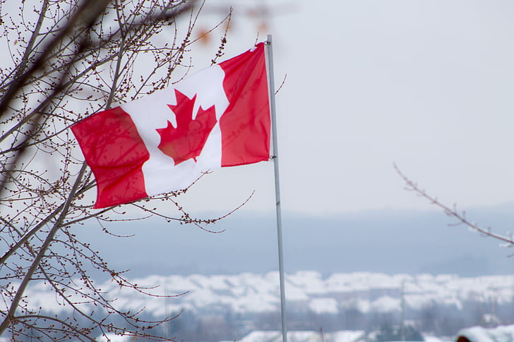 flag, canada, red, white, canadian, winter