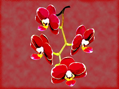 Orchid, Vintage blommor, blomma