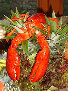 lagosta, zehnfußkrebs, animal, animal do mar, comer, comida, fornecedor de mantimentos