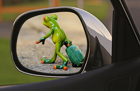 gitme zamanı, Kurbağa, veda, üzgün, Bagaj, arabası, komik