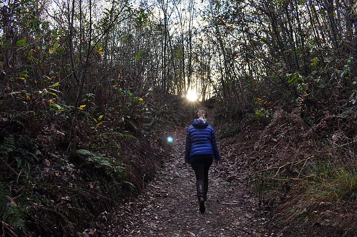 hiking, blonde, trail, walk, meditation