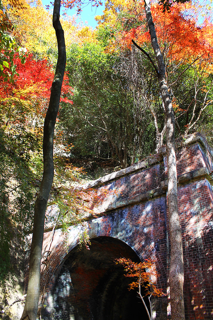 foglie autunnali, tunnel, autunno, Giappone, albero, natura, foglia