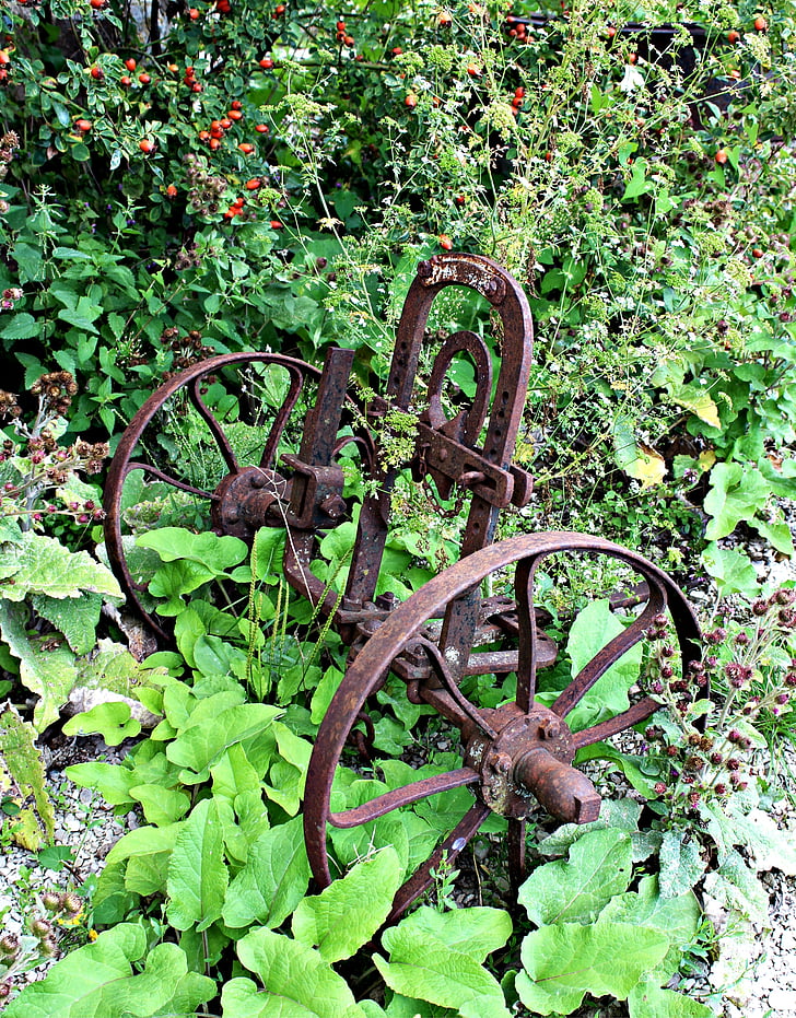 plough, field device, antique, old, farm, rusted, device