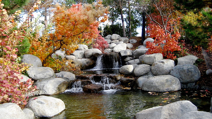 Syksy, Boulder, Creek, ympäristö, syksyllä, maisema, lehdet