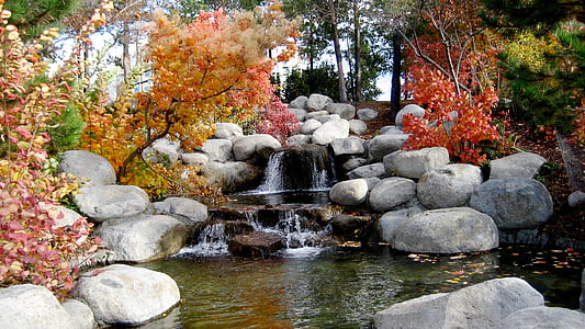 podzim, Boulder, Creek, prostředí, na podzim, krajina, listy