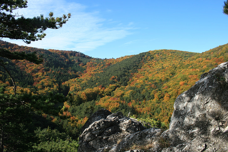 jesenje raspoloženje, stijena, jesen, priroda, šuma, krajolik, drvo
