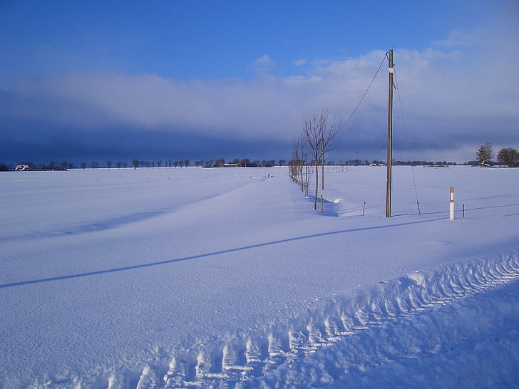 Inverno, Embora, invernal, De maneira nenhuma, à vista, céu azul, branca de neve