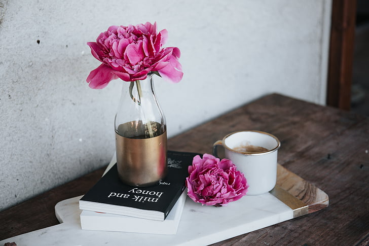 Pink, blomst, vase, display, tabel, bøger, kaffe