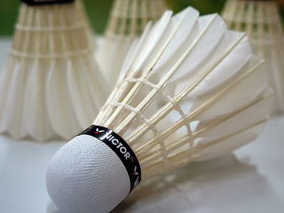 Badminton, Top, Spor, boş zaman, Eğlence Spor, endişeleri, hala