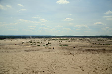 Desert, Sand, askel, Desert błędowska, kesällä, Metsä, näkymä