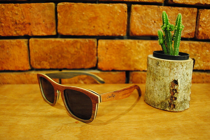 au cours de ray, lunettes de soleil, Vintage, Cactus, nature