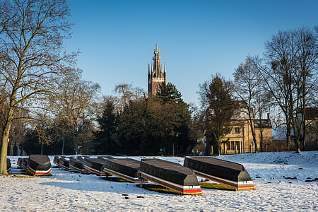 ziemas, parks, Park wörlitz, auksti, sniega, koki, ainava