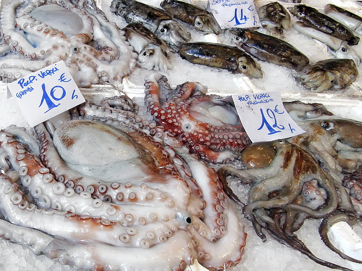 fish market, market, octopus, cuttlefish, calamari, devilfish