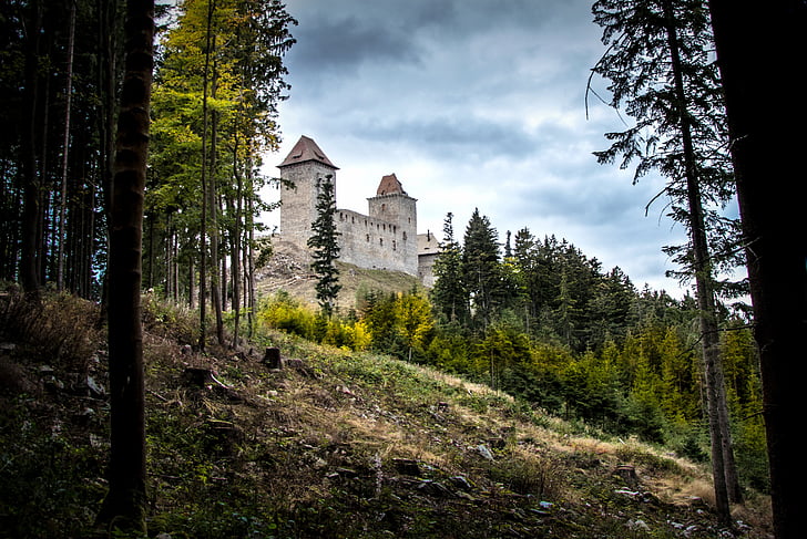 Замок, Старый, руины, вид, исторические, История, средние века