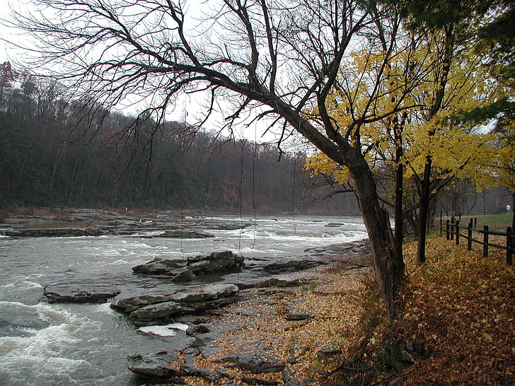 Stream, floden, naturen
