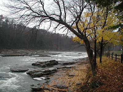 Stream, rivier, natuur