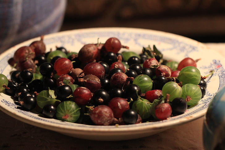 bektaşi üzümü, plaka, Berry, meyve, çanak, lezzetli, beslenme