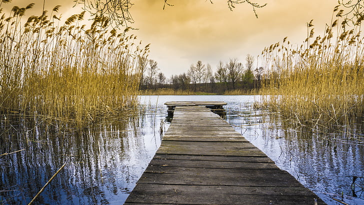 vodní útvar, Dawn, dok, soumraku, večer, na podzim, jezero