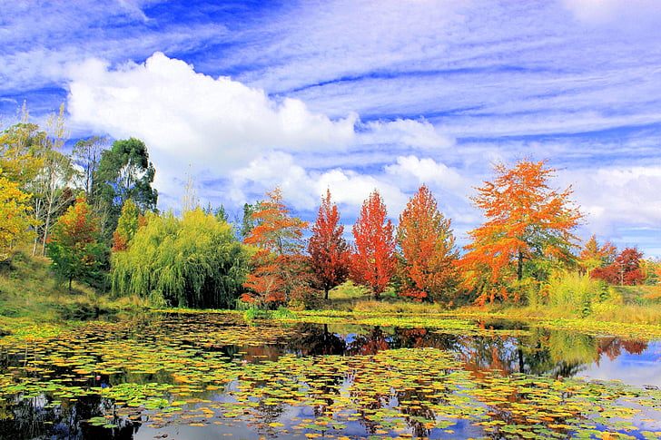 malebný, krajina, podzim, jezero, Sky nelson, Jižní ostrov, Nový Zéland
