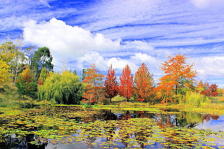 natursköna, landskap, hösten, sjön, Sky nelson, Sydön, Nya Zeeland