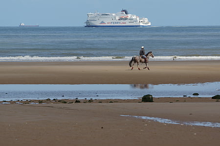 кон, плаж, плаж ездач, Райтер, море, кораб, изглед към плажа