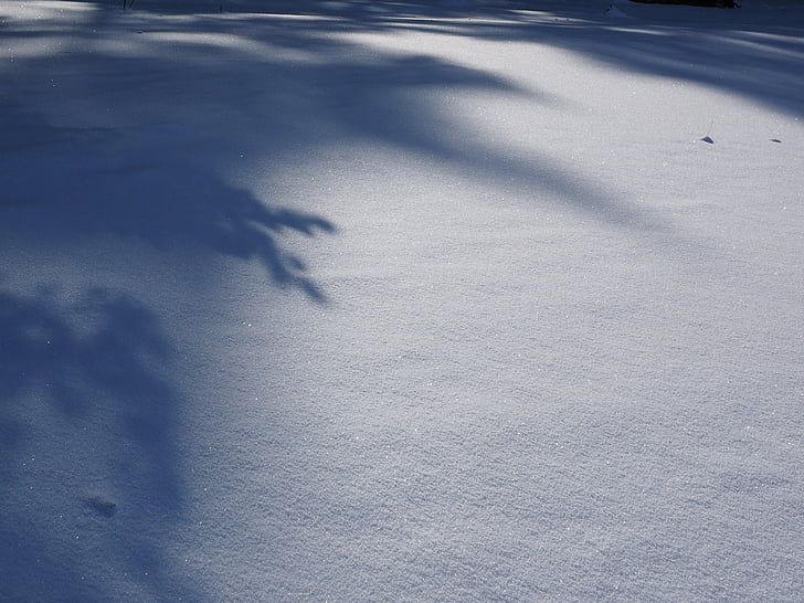 snow landscape, winter, sun, shadow, snow, cold, snowfield