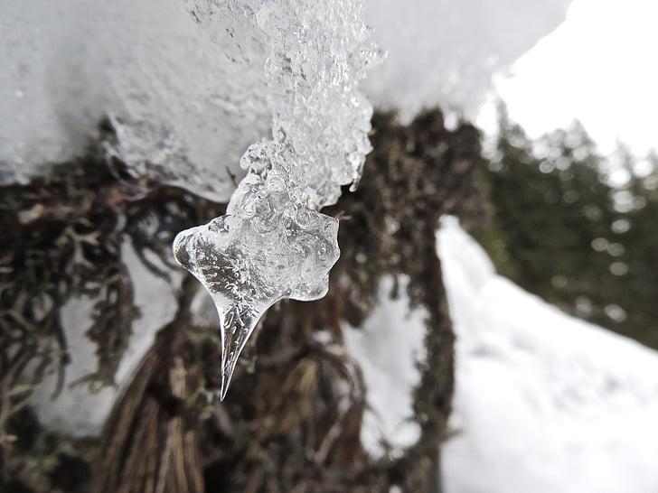 icicle, вода, зимни, лед, студено, замразени, сняг