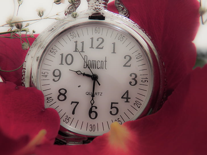mawar, relegio, waktu, bunga, Clock, jam alarm, Natal