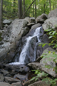 vodopád, Forest, Príroda, vody, čerstvé, životné prostredie