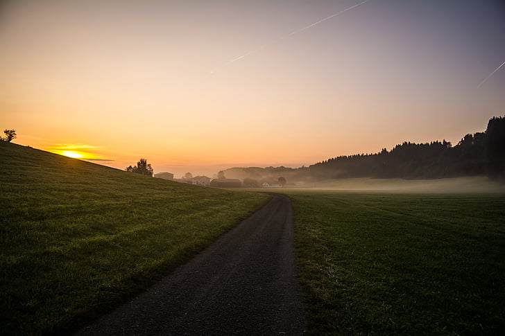 path, road, morning, field, rural, fog, sun