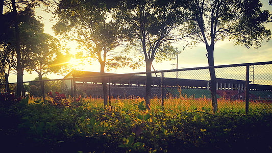 Campus, zachód słońca, plac zabaw dla dzieci, Natura, drzewo, wzrost, piękno natury