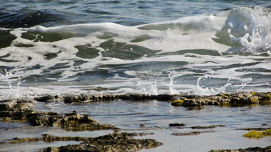 val, koji razbija, sprej, pjena, mjehurići, more, plaža