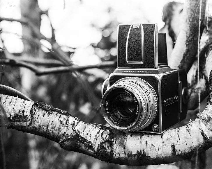 Hasselblad, камера, аналогов, филм, снимка, леща, средно