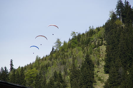 parachute, parachutist, skydiving, championship, bavarian, sky, blue