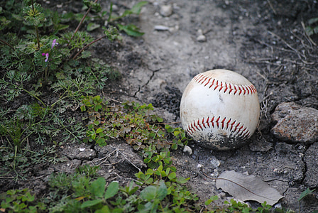 Baseball, Fallen, příslušenství, míč, koláž, zařízení, dovolená