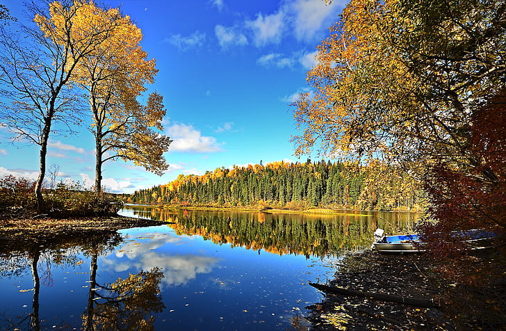 Outono, Lago, paisagem, árvores, cores, céu, reflexões