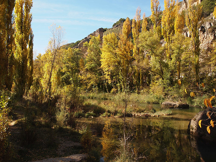 river, poplars, reflection, water, landscape, nature, autumn