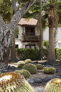 kaktus, kaktushage, hytte, hage, Tropical, Tenerife, eksotiske