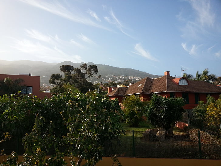 Tenerife, città, vista, i tetti, edifici, architettura