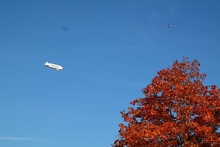 Zeppelin, skristi, standus dirižablis, dangus, mėlyna, aviacijos, balta