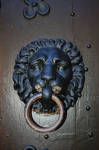 door knocker, lion, wood, metal door knowcker, wooden doors, entrance