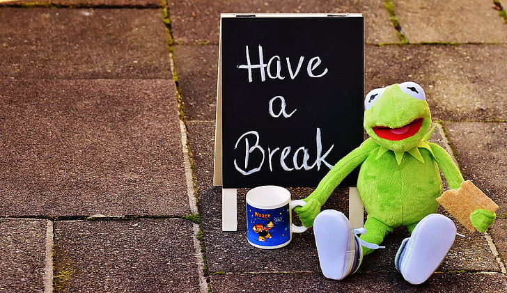 Kermit, Copa, beure cafè, descans, Pausa cafè, tassa de cafè, divertit