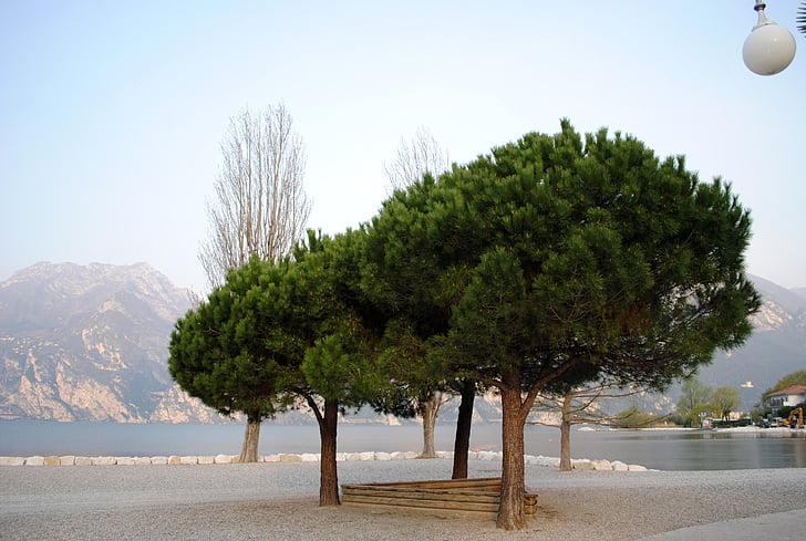Estado de ánimo, Garda, árboles, Banco, Lago di garda, Italia, Playa