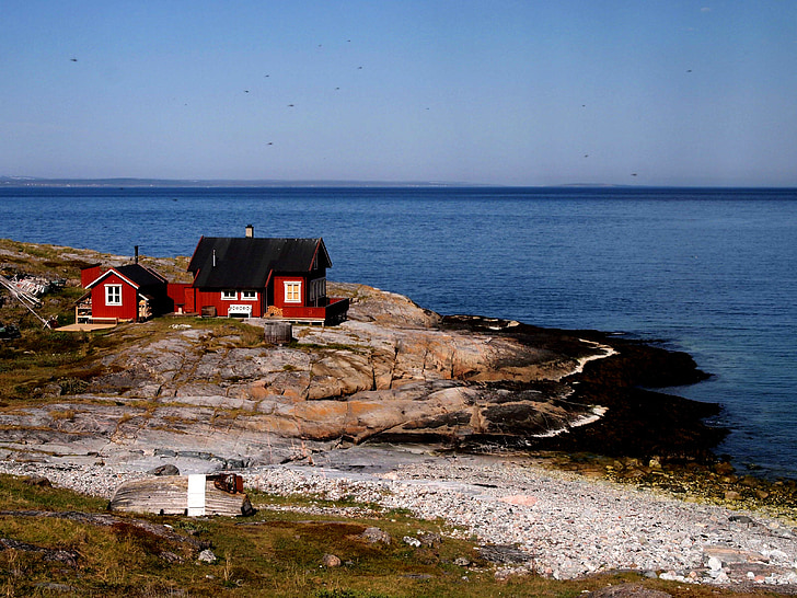 Norvēģija, jūra, krasts, mājas, ēka, sarkana, ainava