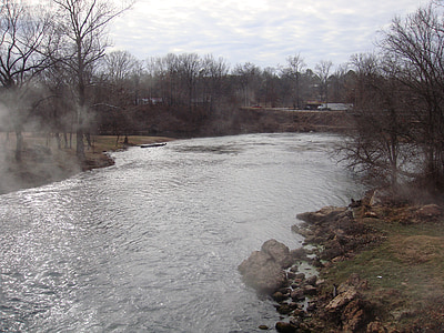 stream, river, riverbank, trees, creek, flow, flowing