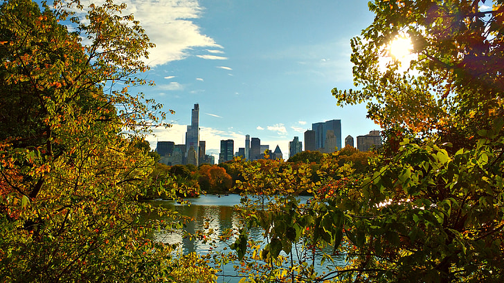 new york, NYC, Manhattan, Park, vacker natur, Skyline, skyskrapa