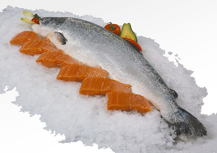salmon, fillet, fresh, food, seafood, ice, freshness