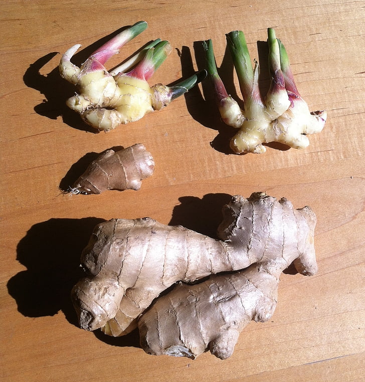 ginger, zingiber, root, asian, spice, cooking, spicy