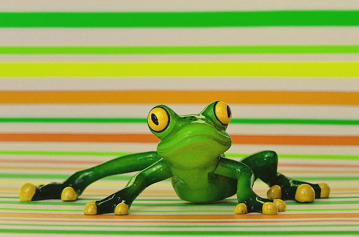žaba, zabavno, Slika, srčkano, živali, zabavno, zelena