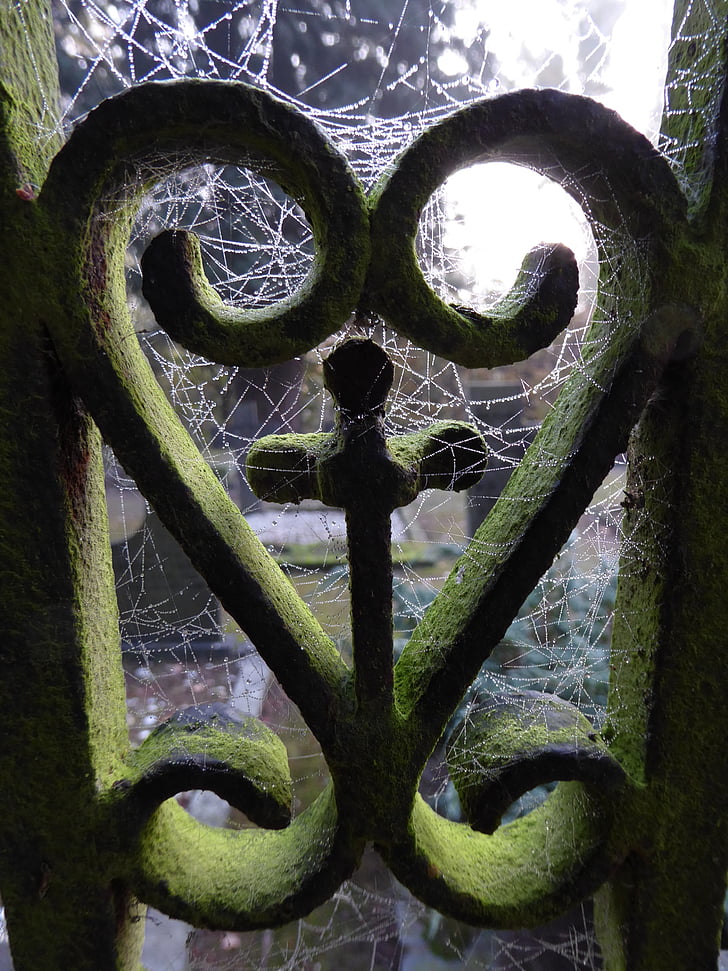 heart, foggy, dew, cemetery, spider web, old, fence